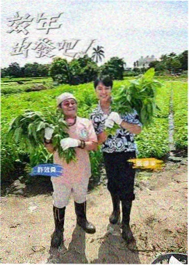 综艺